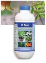 product Icon