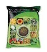 product Icon